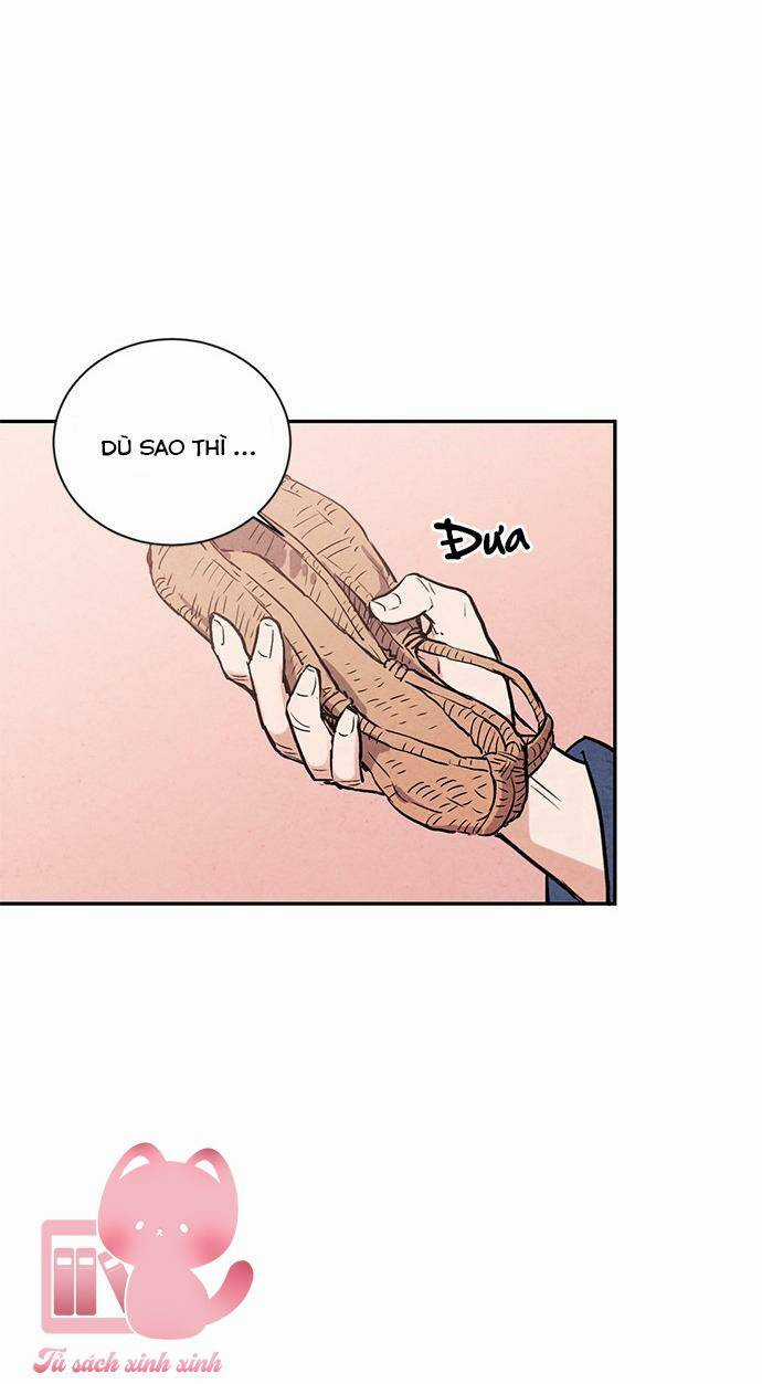 Lệnh Cấm Hôn Của Hoàng Đế Bệ Hạ Chapter 23 trang 56