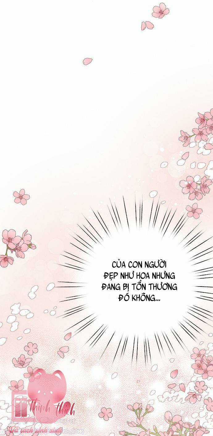 Lệnh Cấm Hôn Của Hoàng Đế Bệ Hạ Chapter 33 trang 38