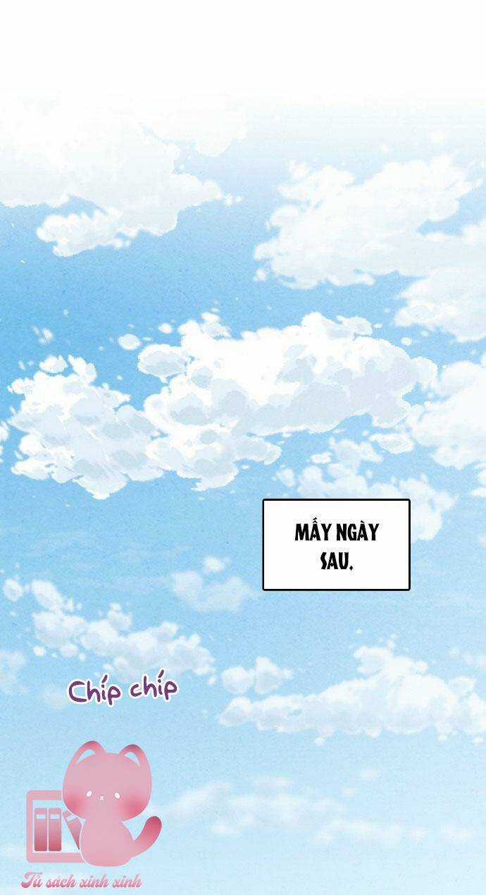 Lệnh Cấm Hôn Của Hoàng Đế Bệ Hạ Chapter 34 trang 2