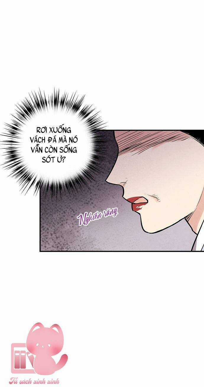 Lệnh Cấm Hôn Của Hoàng Đế Bệ Hạ Chapter 41 trang 18