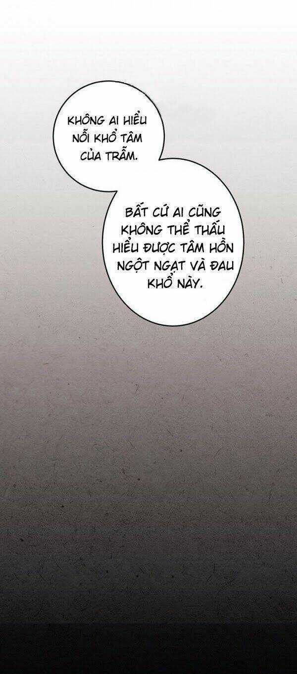 Lệnh Cấm Hôn Của Hoàng Đế Bệ Hạ Chapter 5 trang 18