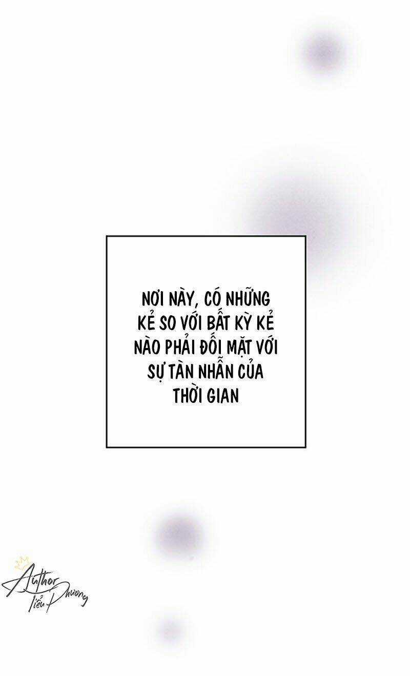 Lệnh Cấm Hôn Của Hoàng Đế Bệ Hạ Chapter 6 trang 8