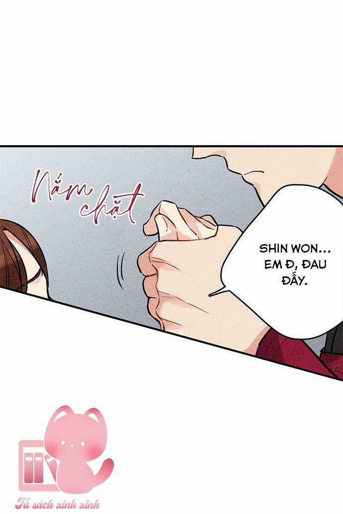 Lệnh Cấm Hôn Của Hoàng Đế Bệ Hạ Chapter 61 trang 15