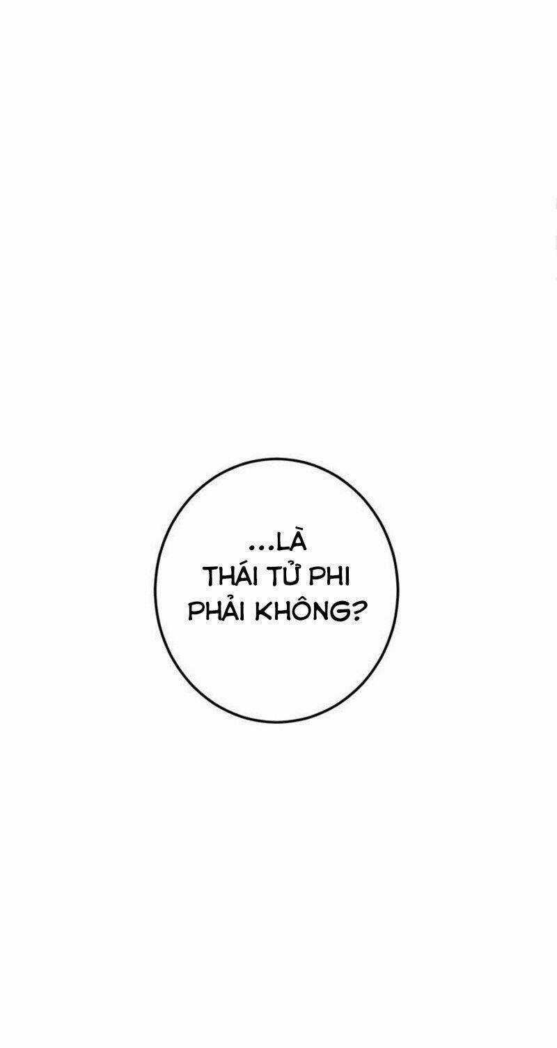 Lệnh Cấm Hôn Của Hoàng Đế Bệ Hạ Chapter 7 trang 54