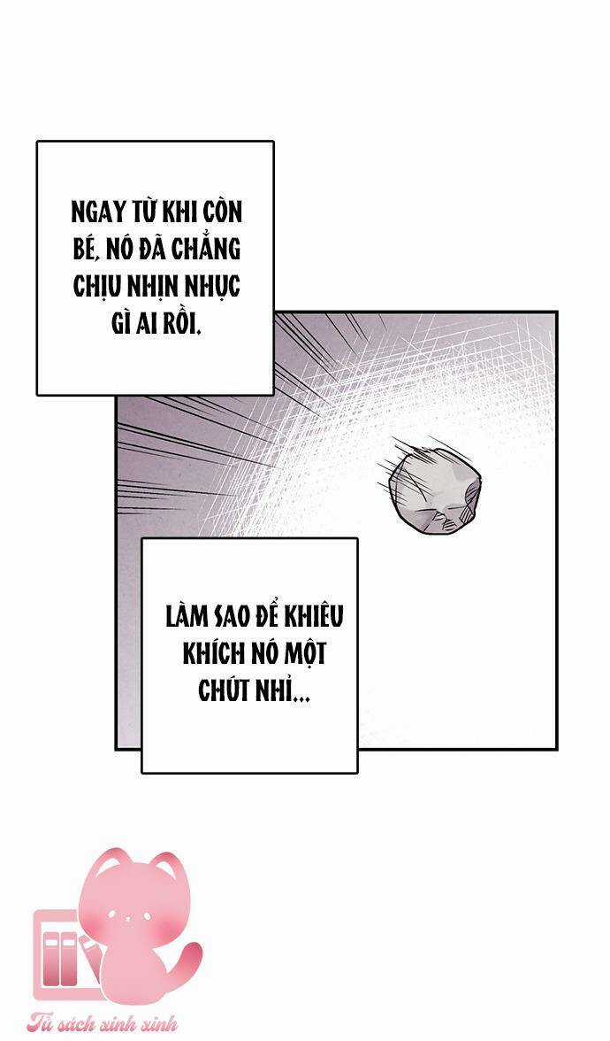 Lệnh Cấm Hôn Của Hoàng Đế Bệ Hạ Chapter 78 trang 35