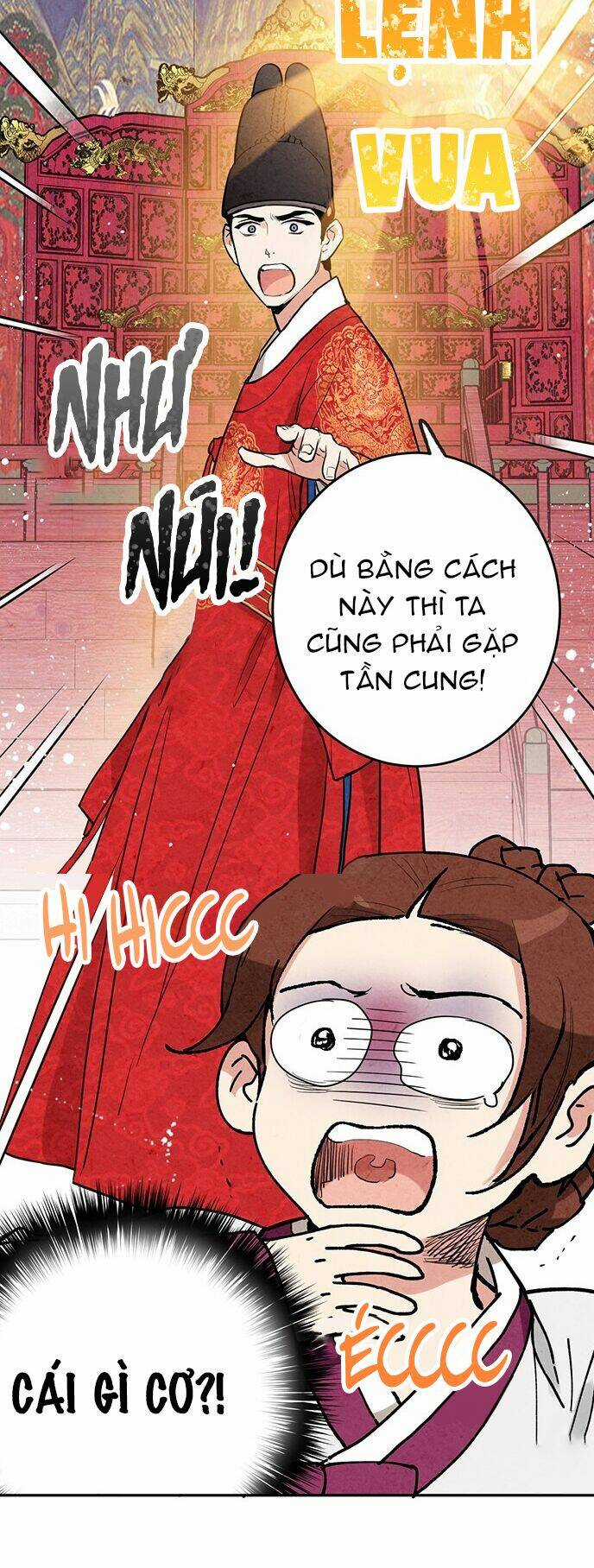 Lệnh Cấm Hôn Của Hoàng Đế Bệ Hạ Chapter 8 trang 28