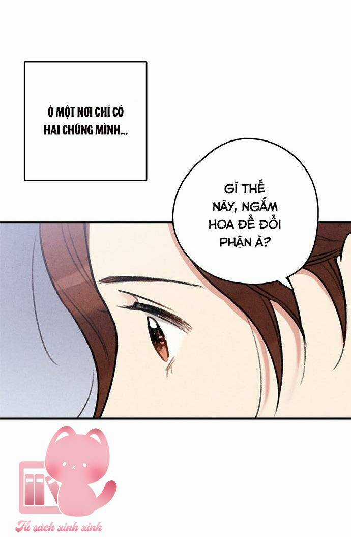 Lệnh Cấm Hôn Của Hoàng Đế Bệ Hạ Chapter 80 trang 46