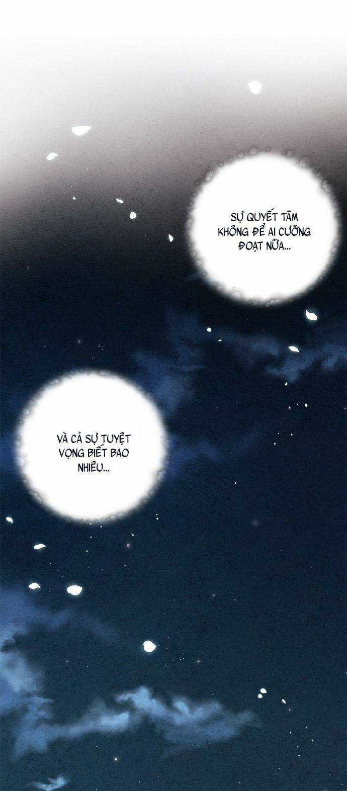 Lệnh Cấm Hôn Của Hoàng Đế Bệ Hạ Chapter 81 trang 14