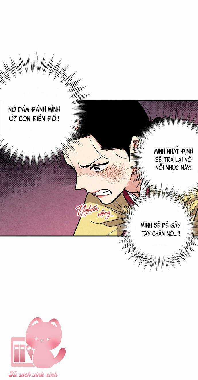 Lệnh Cấm Hôn Của Hoàng Đế Bệ Hạ Chapter 81 trang 18