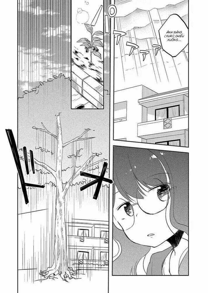 Let's Reconcile With Lily Maria Chapter 1 trang 38