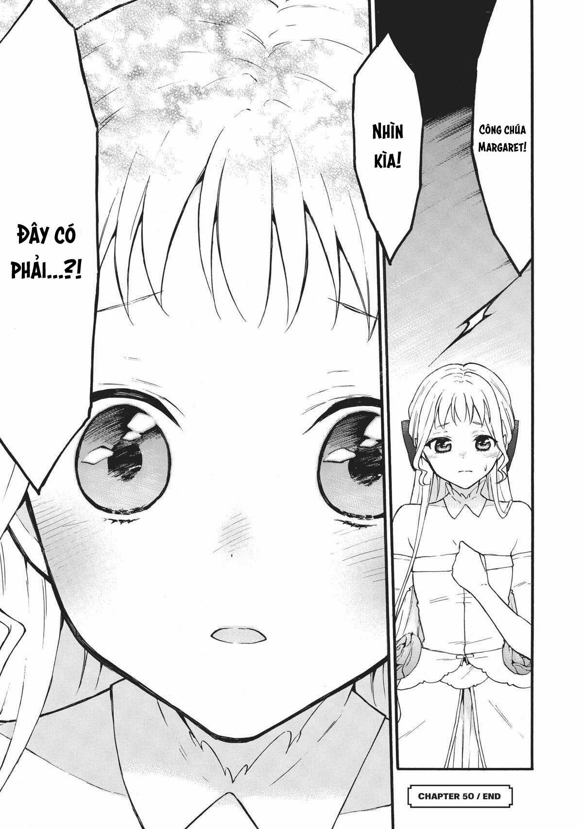 Level 1 With S-Rank Drop Rate Is The Strongest Chapter 50 trang 37