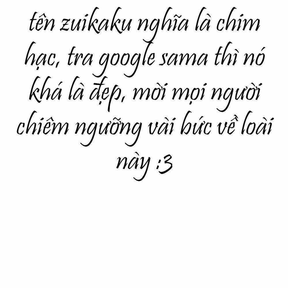 Level 1 Zuikaku Chapter 1 trang 5