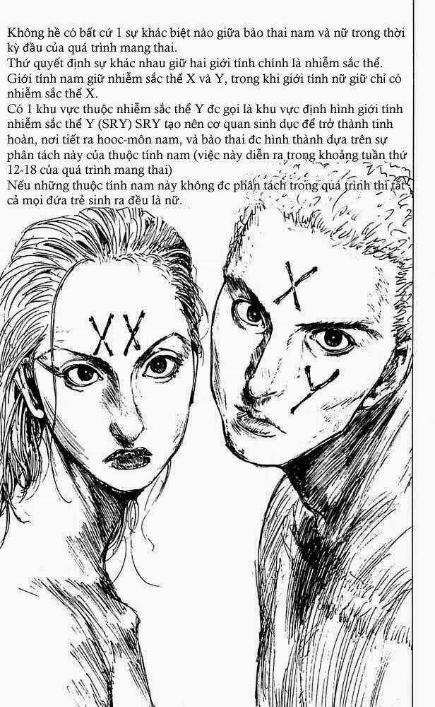 Level E Chapter 11 trang 20