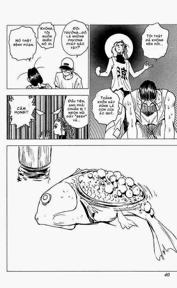 Level E Chapter 11 trang 33