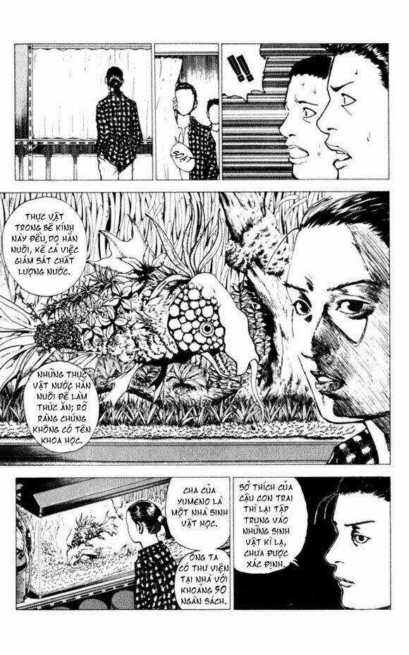 Level E Chapter 5 trang 8