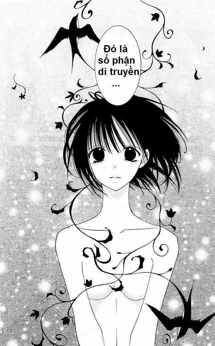 Liar Lily Chapter 2 trang 31