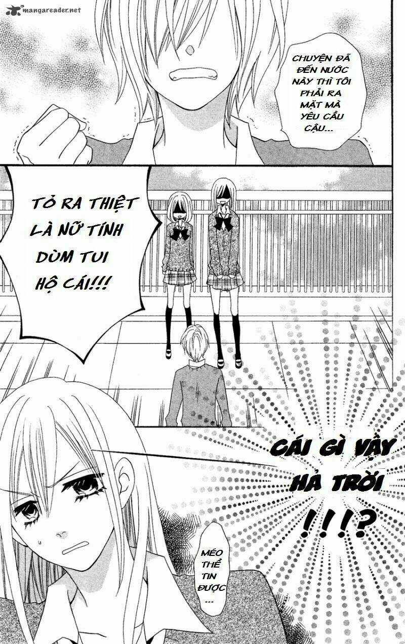 Liar Lily Chapter 38 trang 11