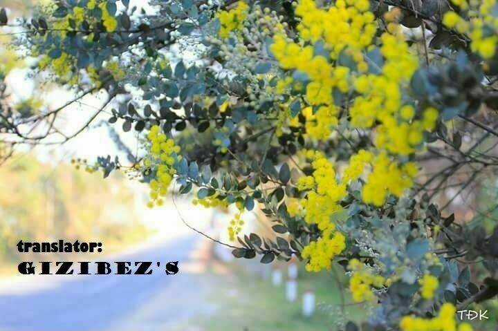 Liar Lily Chapter 41 trang 2