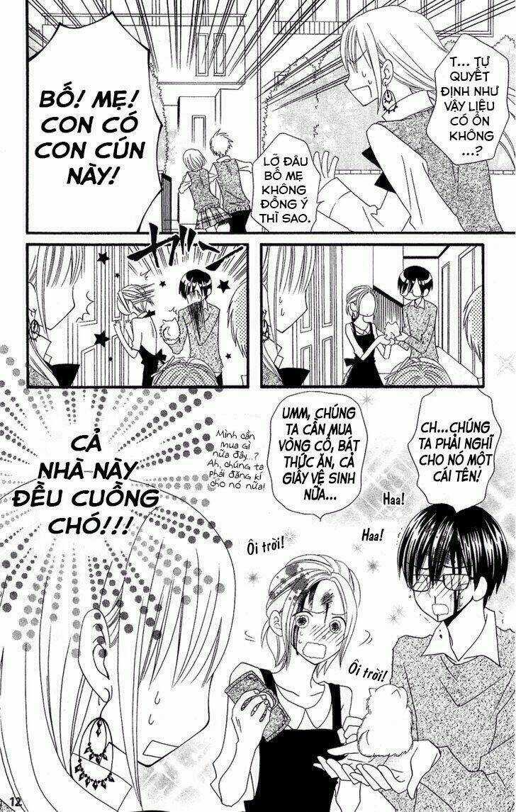 Liar Lily Chapter 50 trang 13