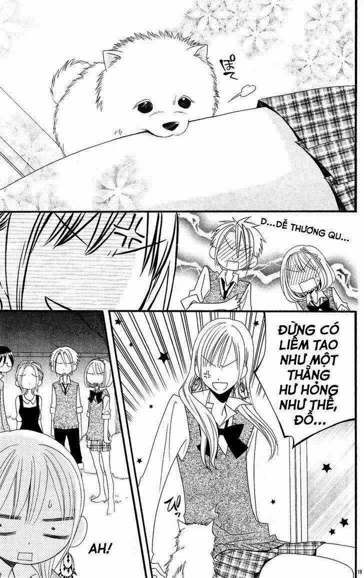 Liar Lily Chapter 50 trang 20