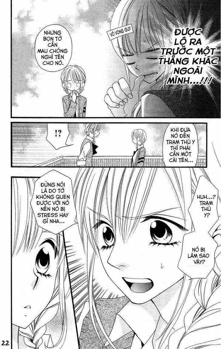 Liar Lily Chapter 50 trang 23