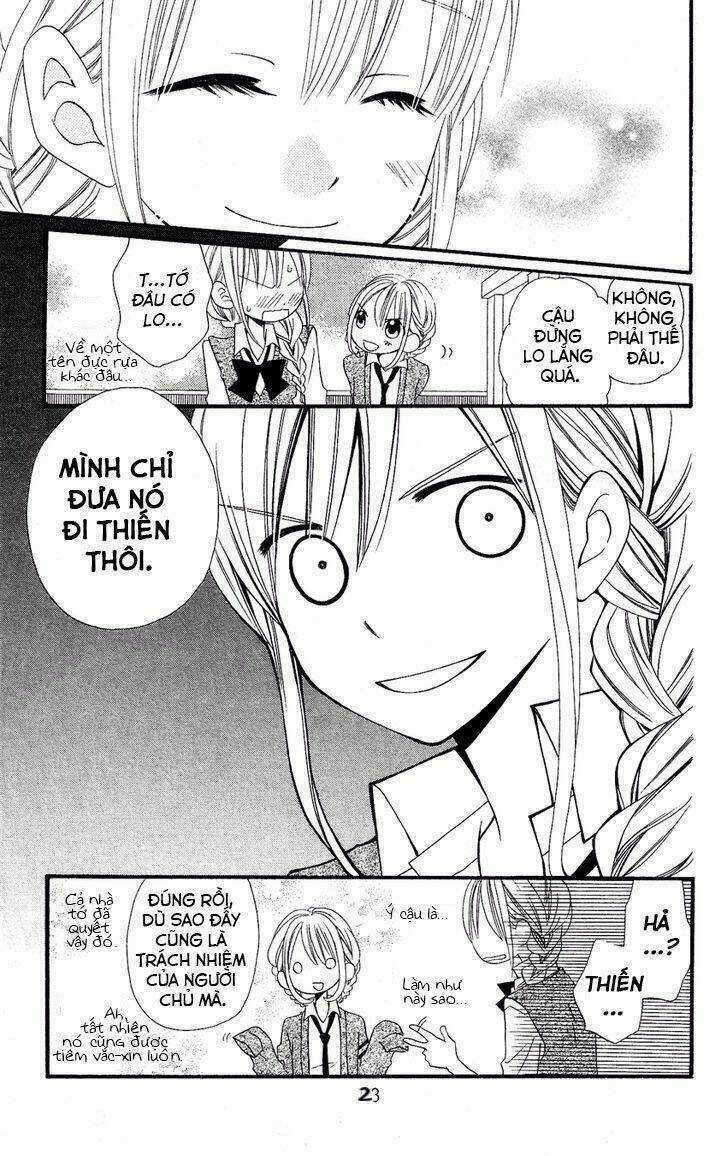 Liar Lily Chapter 50 trang 24