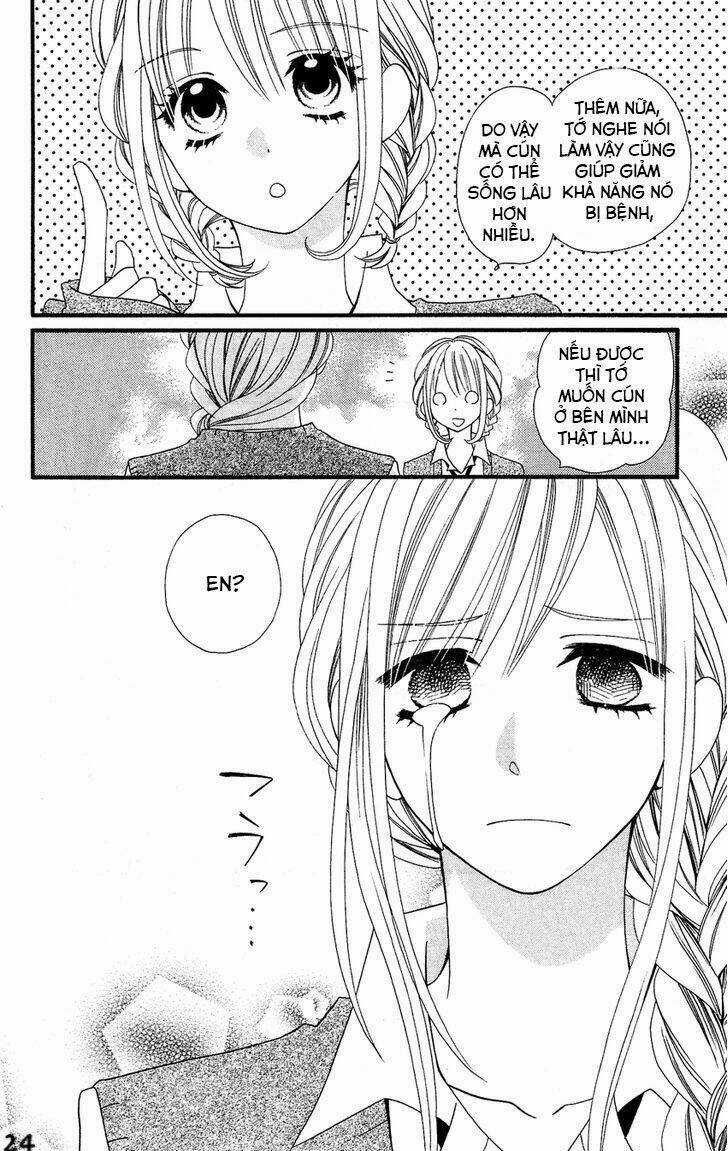 Liar Lily Chapter 50 trang 25