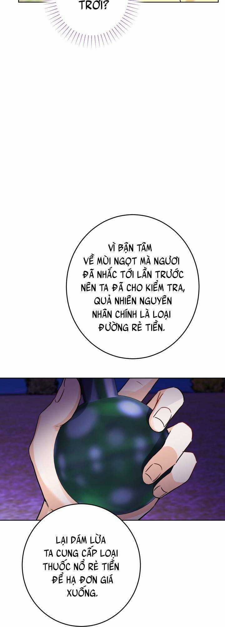 Lịch Sử Đen Tối Của Nam Chính Chapter 13 trang 17