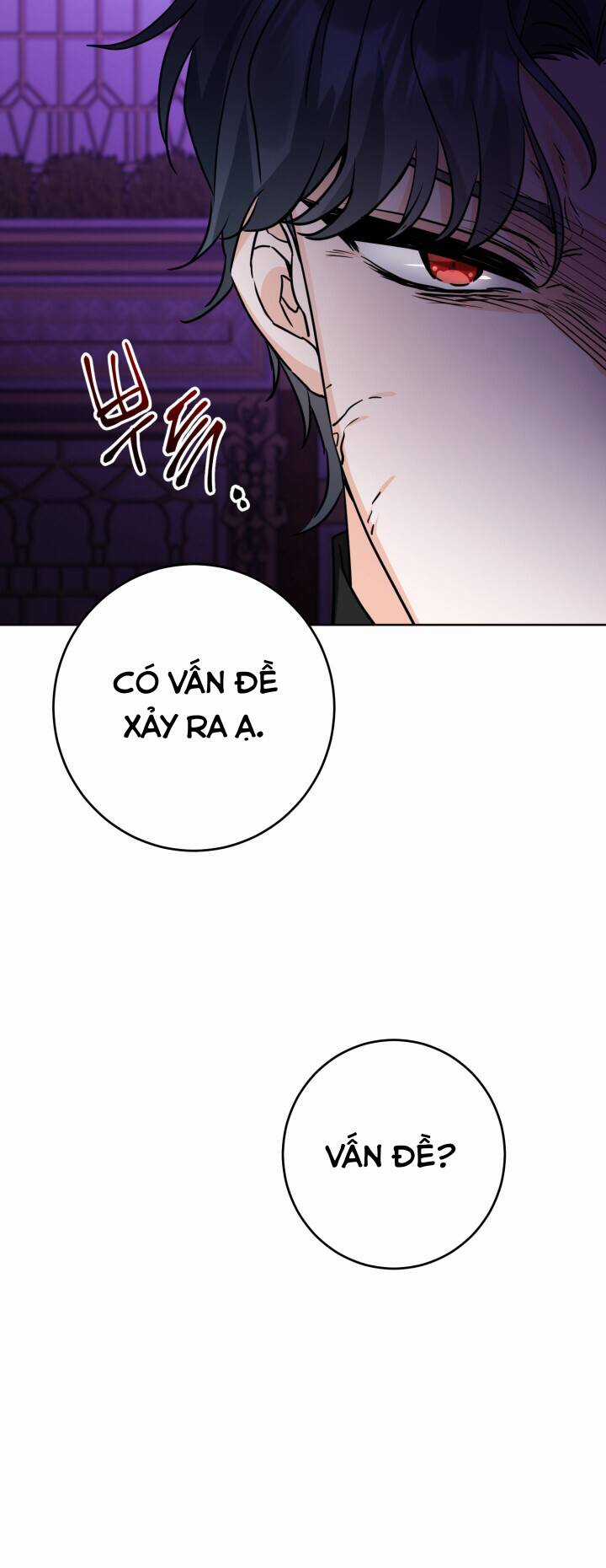 Lịch Sử Đen Tối Của Nam Chính Chapter 15 trang 13