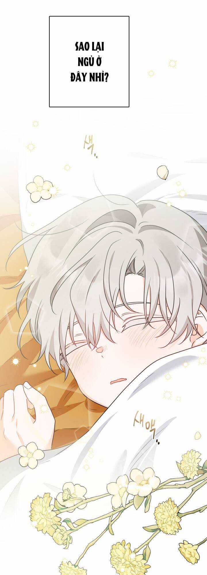 Lịch Sử Đen Tối Của Nam Chính Chapter 19 trang 15