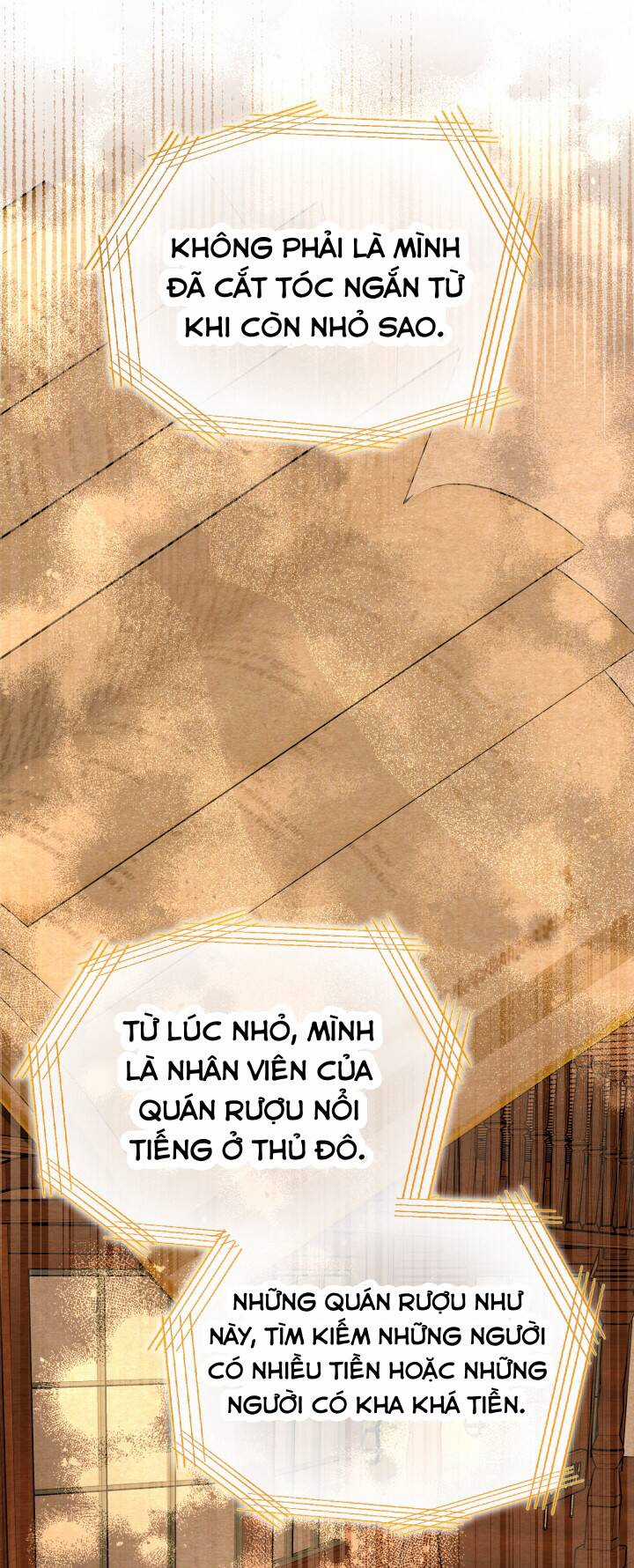 Lịch Sử Đen Tối Của Nam Chính Chapter 24 trang 15