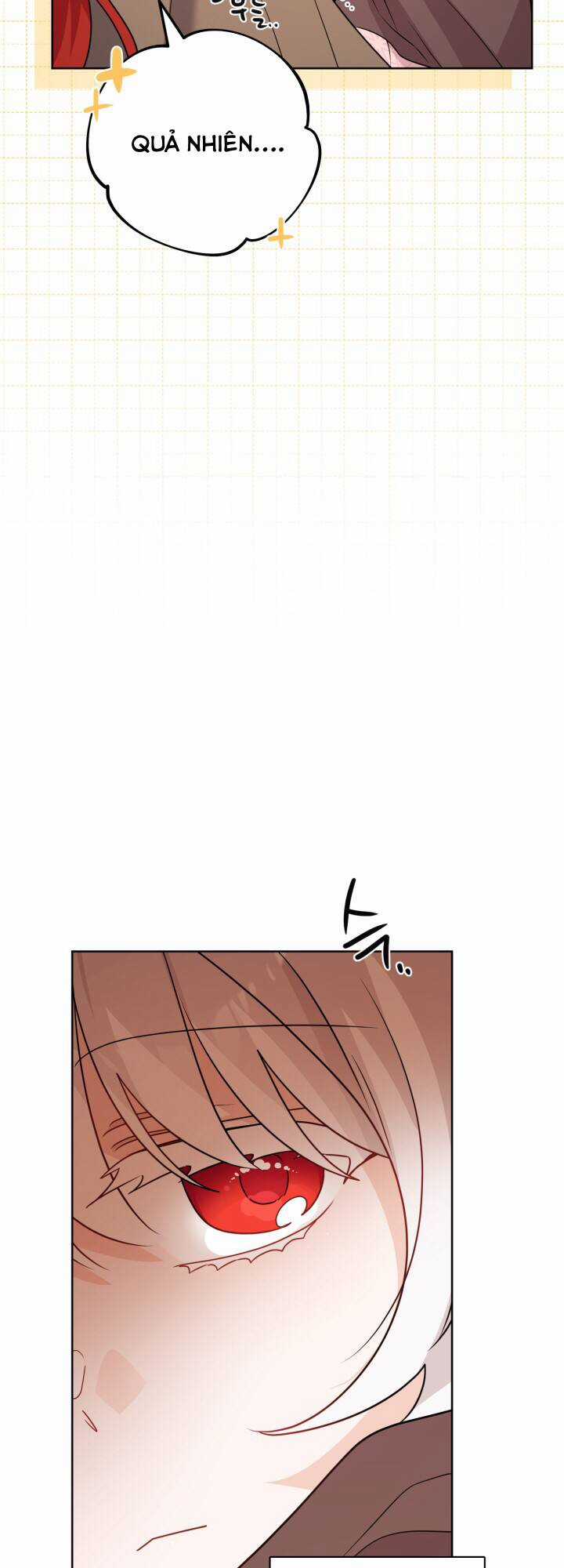 Lịch Sử Đen Tối Của Nam Chính Chapter 26 trang 23