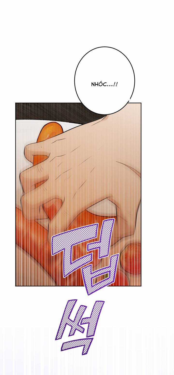 Lịch Sử Đen Tối Của Nam Chính Chapter 29 trang 31