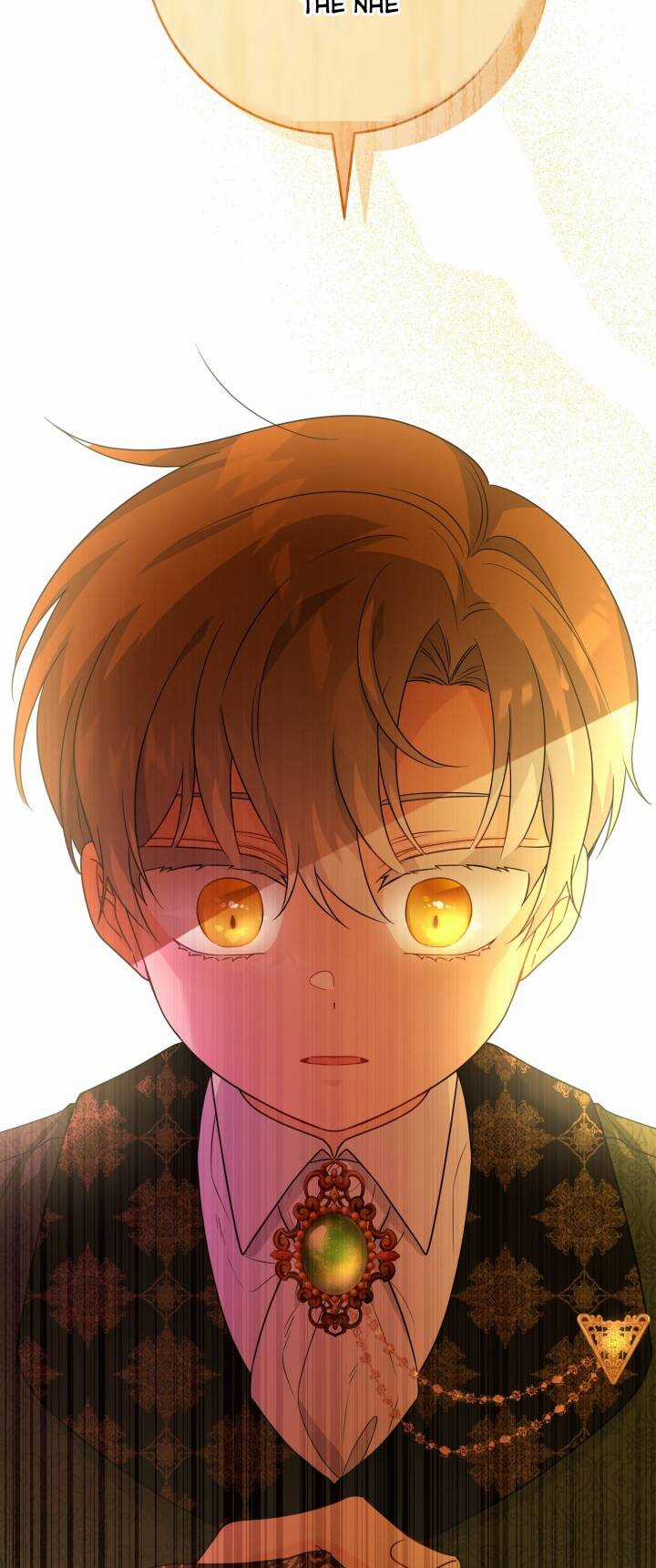 Lịch Sử Đen Tối Của Nam Chính Chapter 33 trang 22