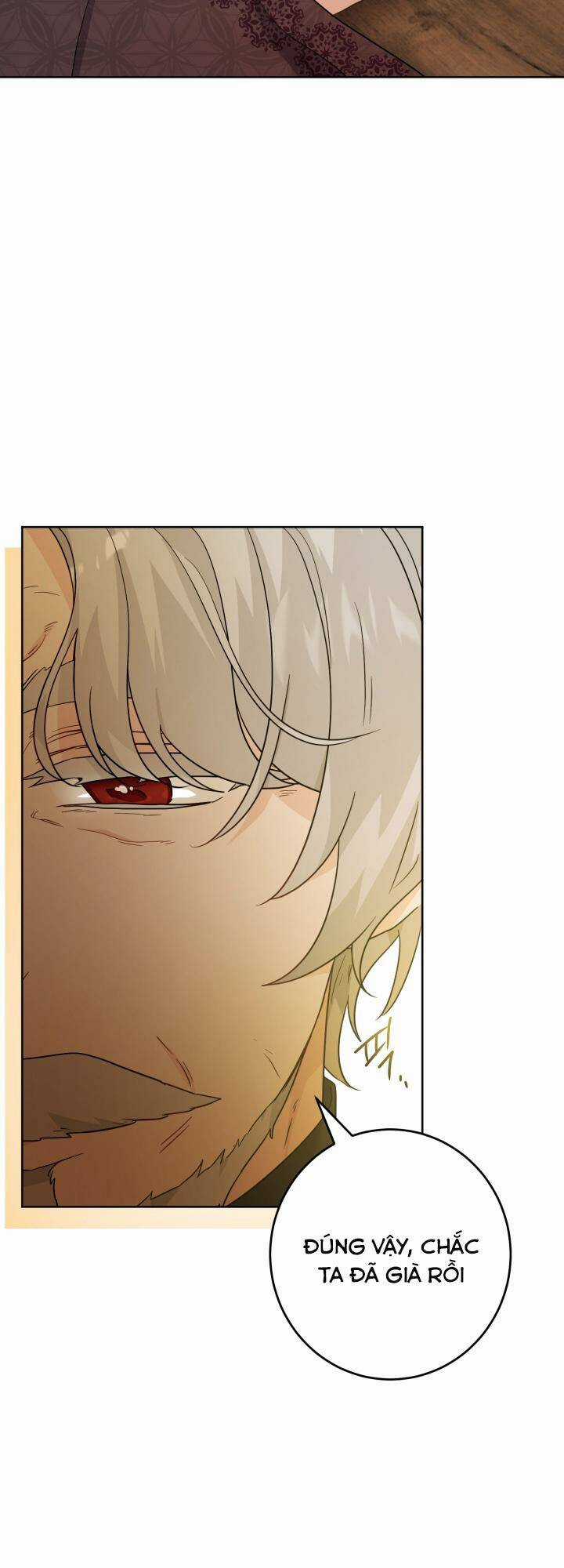 Lịch Sử Đen Tối Của Nam Chính Chapter 43 trang 33