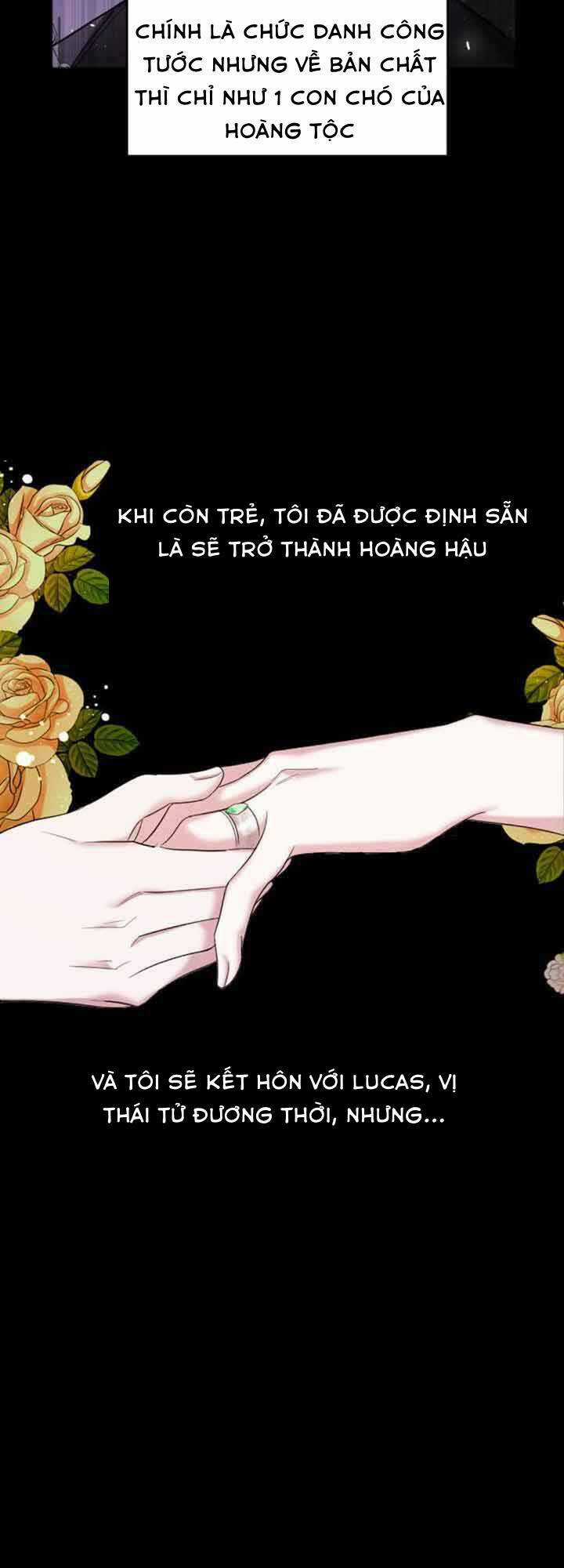 Liên Hôn Phục Thù Chapter 1 trang 27