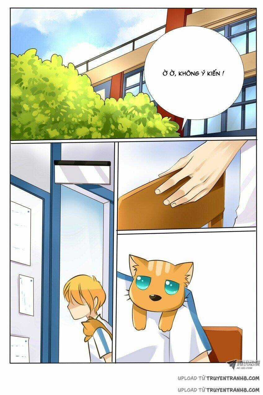 Liên Minh Thiên Kiều Chapter 2 trang 8