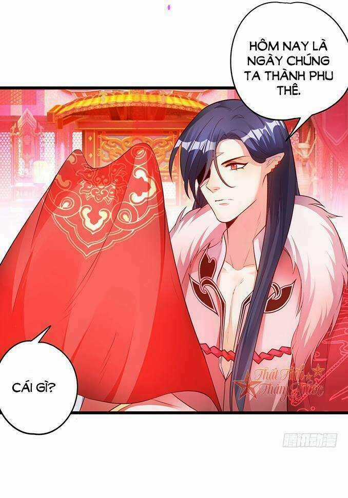 Liêu Liêu Trai Chapter 19 trang 16