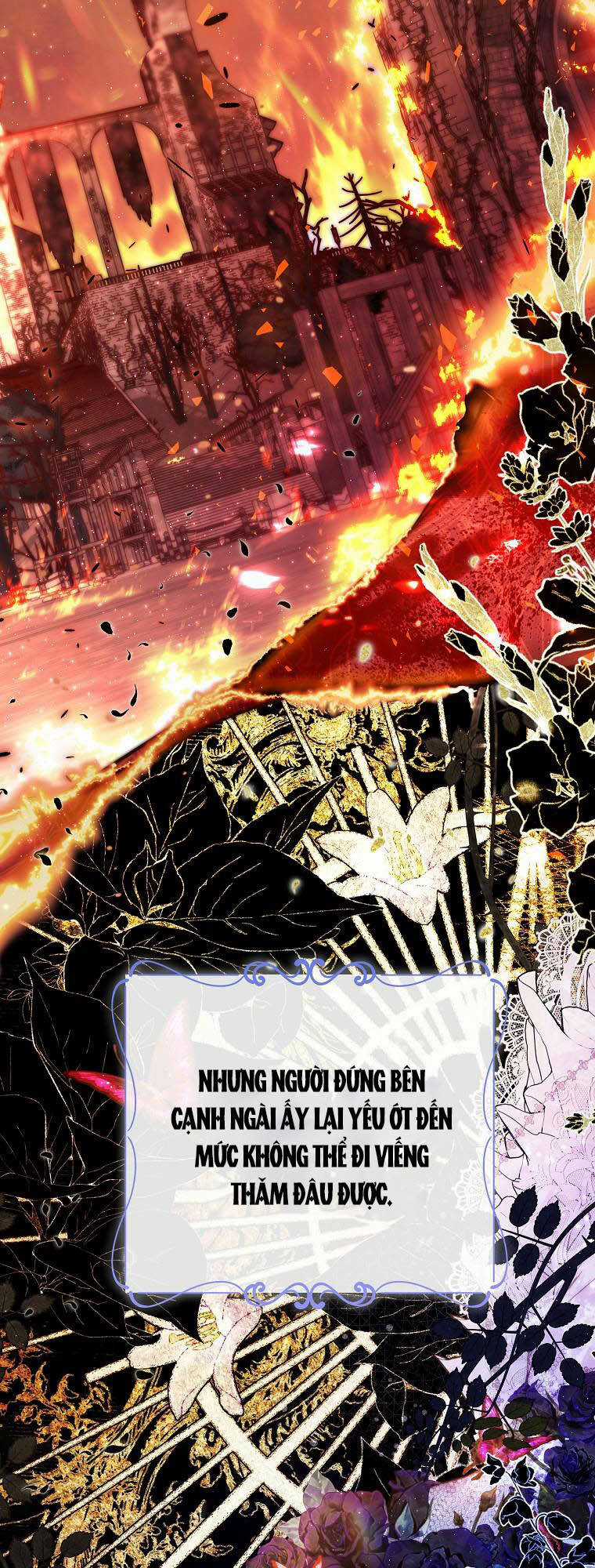 Lilien Của Turin Chapter 39 trang 13