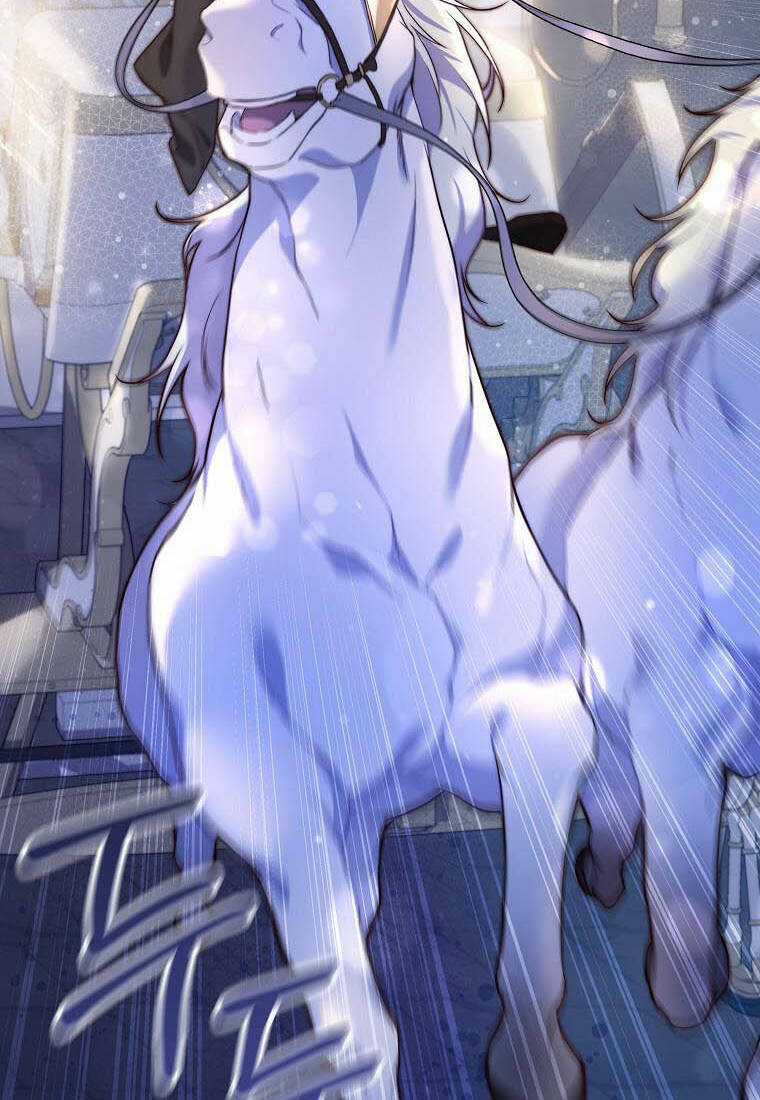 Lilien Của Turin Chapter 39 trang 25