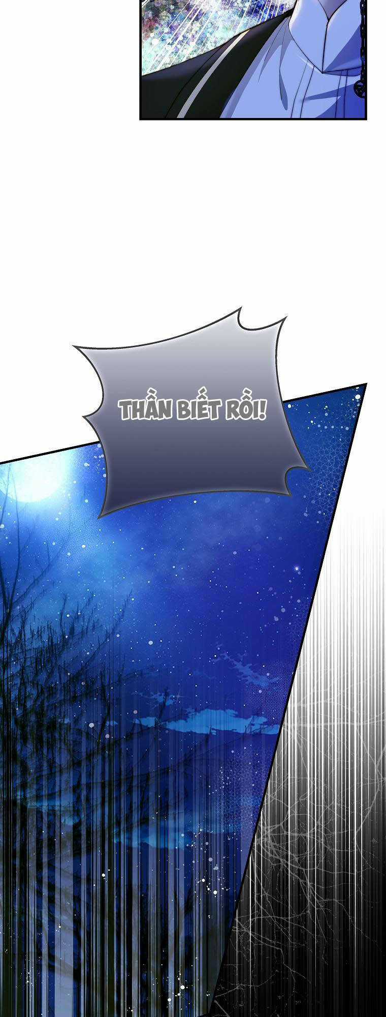 Lilien Của Turin Chapter 39 trang 31