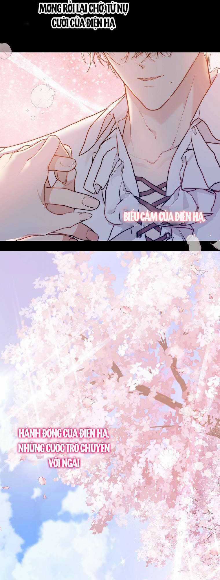 Lilien Của Turin Chapter 42 trang 10