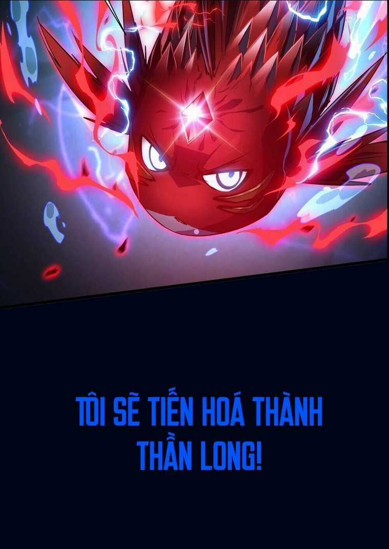 Linh Khí Khôi Phục: Từ Cá Chép Tiến Hoá Thành Thần Long Chapter 0 trang 17
