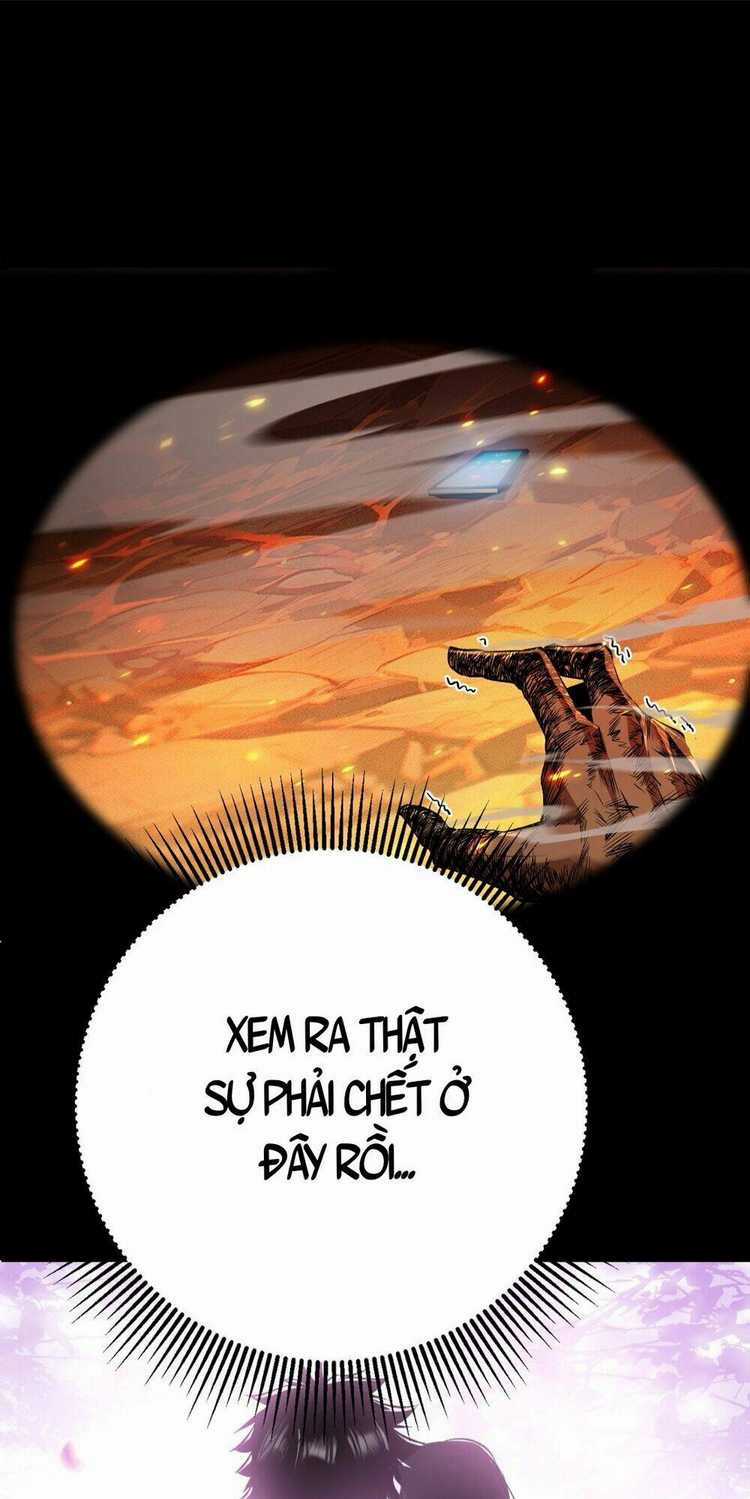 Linh Khí Khôi Phục: Từ Cá Chép Tiến Hoá Thành Thần Long Chapter 1 trang 25