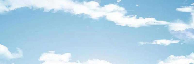 Linh Khí Khôi Phục: Từ Cá Chép Tiến Hoá Thành Thần Long Chapter 19 trang 117