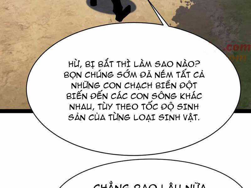 Linh Khí Khôi Phục: Từ Cá Chép Tiến Hoá Thành Thần Long Chapter 21 trang 69