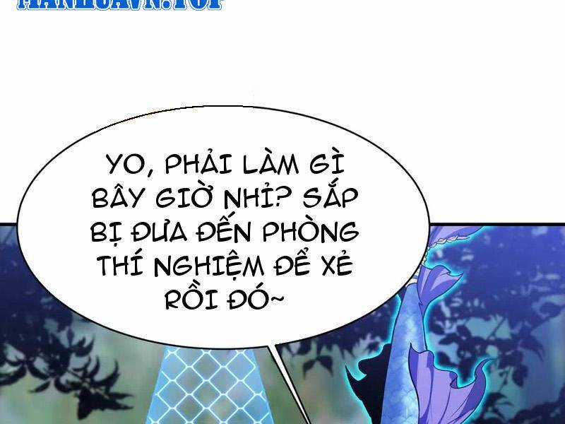Linh Khí Khôi Phục: Từ Cá Chép Tiến Hoá Thành Thần Long Chapter 22 trang 104