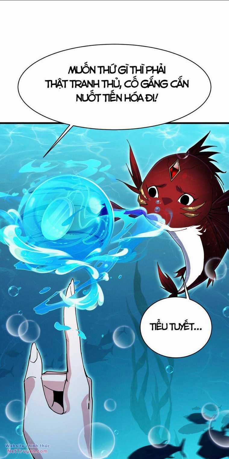 Linh Khí Khôi Phục: Từ Cá Chép Tiến Hoá Thành Thần Long Chapter 3 trang 14