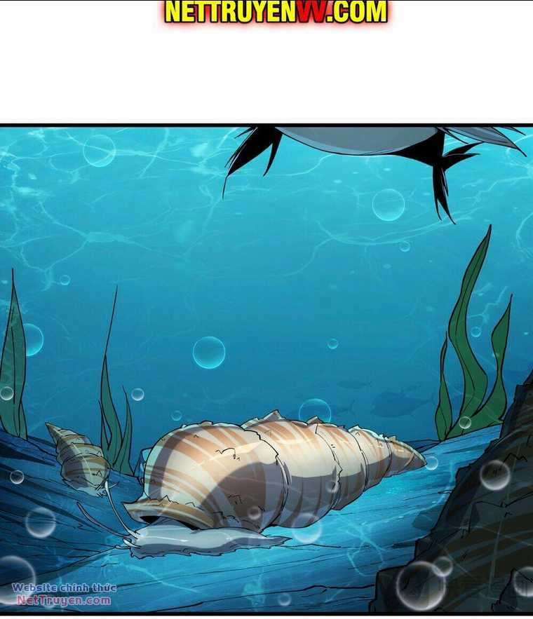 Linh Khí Khôi Phục: Từ Cá Chép Tiến Hoá Thành Thần Long Chapter 3 trang 17