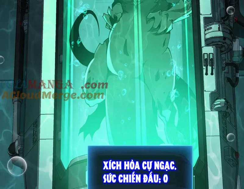 Linh Khí Khôi Phục: Từ Cá Chép Tiến Hoá Thành Thần Long Chapter 34 trang 96